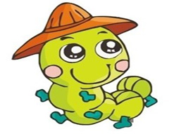 刺猬和露珠