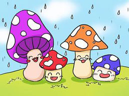 小蘑菇和苍果霸的故事