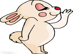 爱有多长