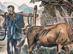 农夫与耕牛的故事
