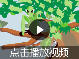 螳螂捕蝉的故事视频